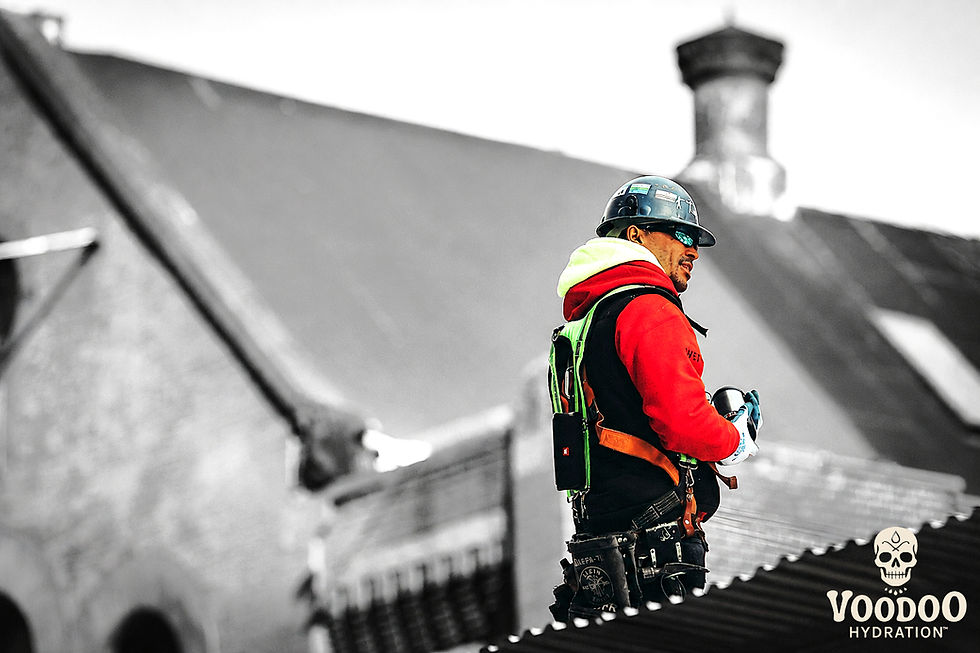 blue collar worker on a roof
