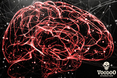 The Brain Fog Epidemic: How Dead Water Ruins Your Mental Focus
