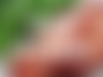 Ham Steak in Air Fryer Recipe