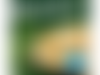 Air Fryer Michelina’s Fettuccine Alfredo