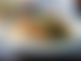 Garlic Herb Butter Air Fryer Pork Loin Chops