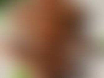 Air Fryer Sausage Links