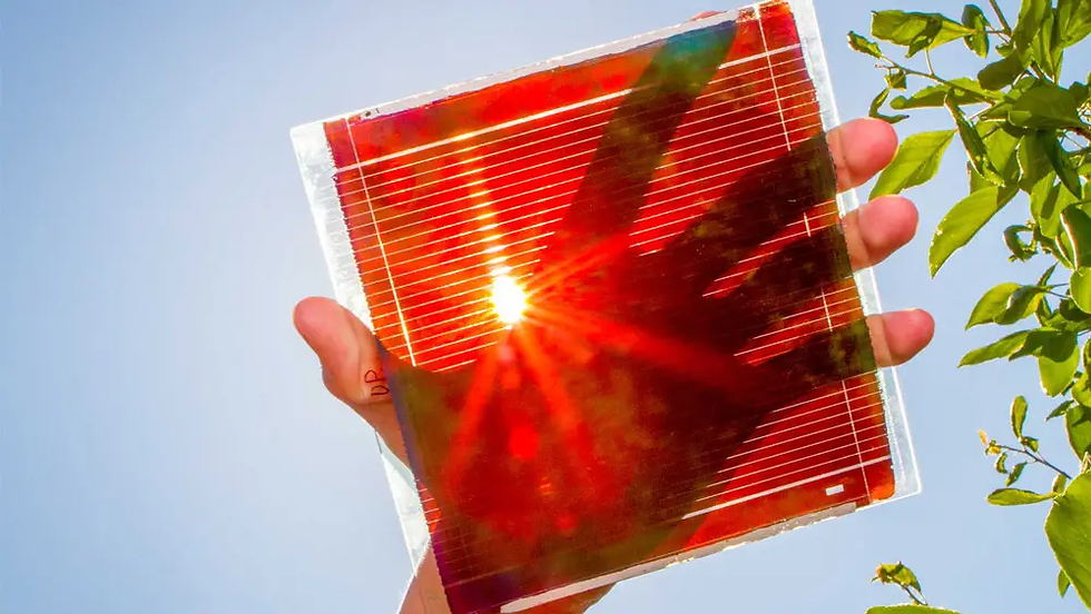 picture of a perovskite solar cell