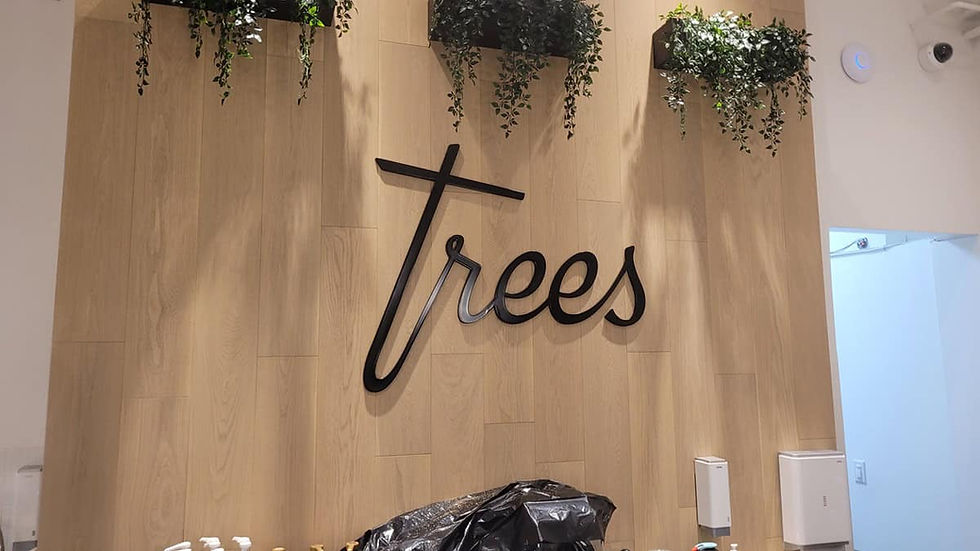 3D Letters installed on a wall inside Tree Cafe in Vancouver