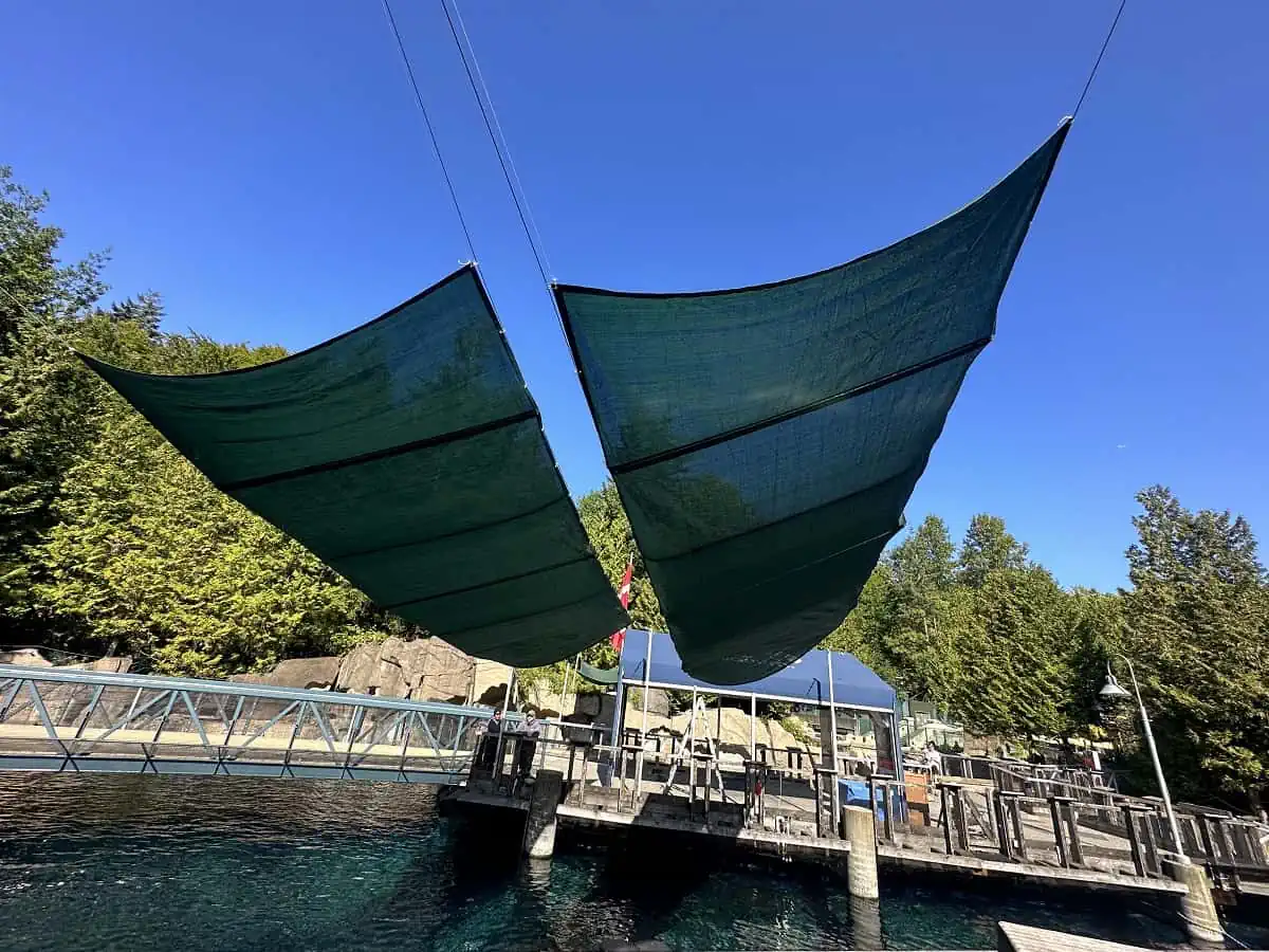 Large Black Mesh Pool Shades at Vancouver Aquarium.webp