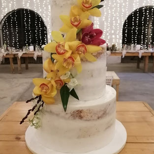 Semi-Naked Wedding Cake with Orchids_Natte Valleij_Stellenbosch