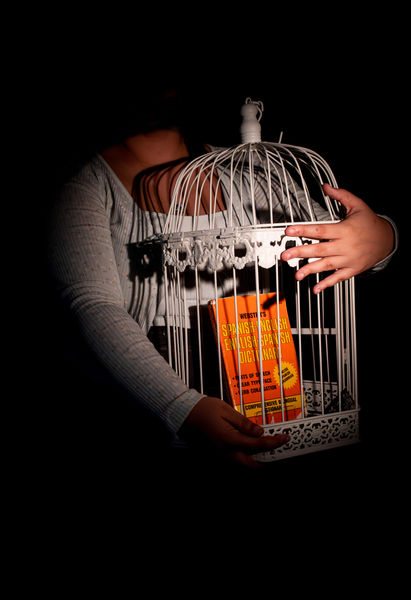 Birds in cages dont speak.jpg