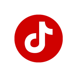 tiktok logo_edited.png