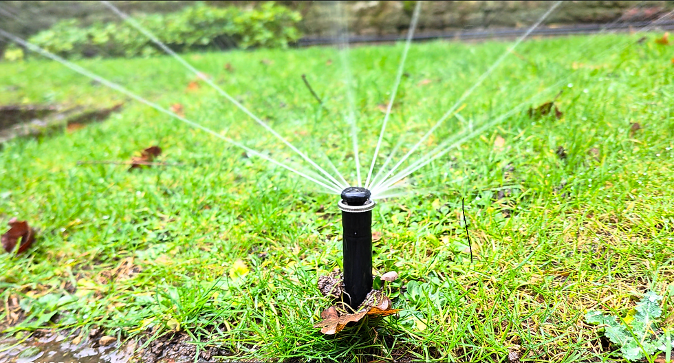 Sprinkler head installed by local sprinkler system companies.