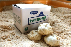 食用ゆり根 5kgの外観