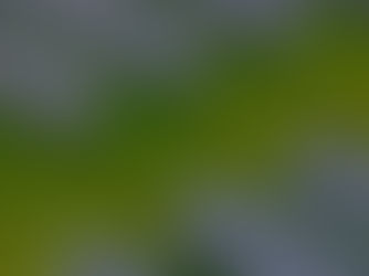 Smart Microgrid Simulation With Renewable Energy: Powering the Future