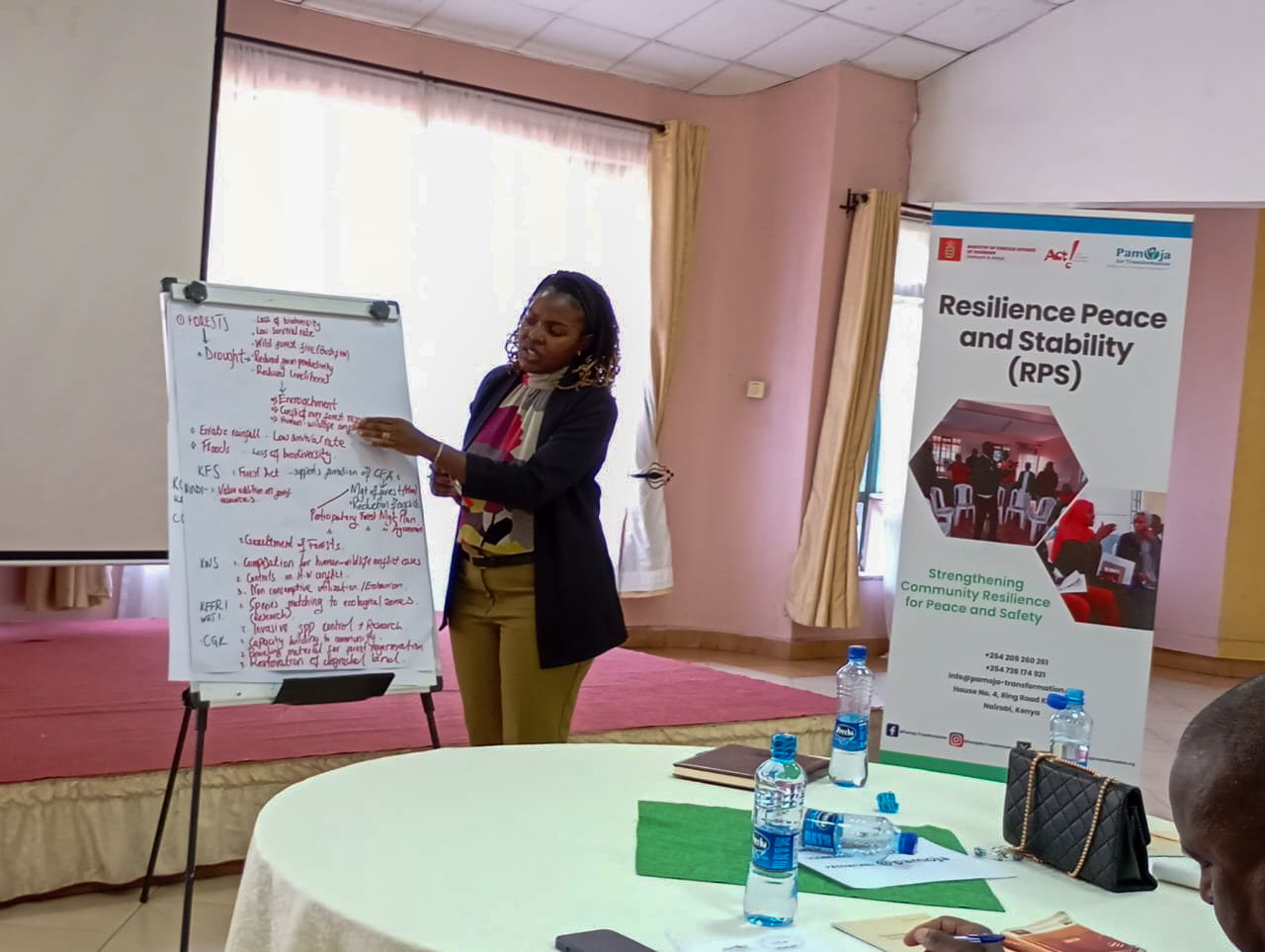 Resilience Peace and Stability (RPS) | Pamoja English