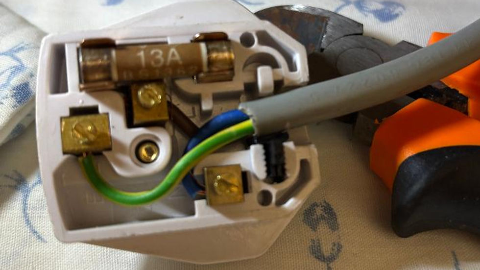 correctly wired plug