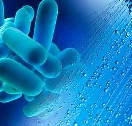 legionella water