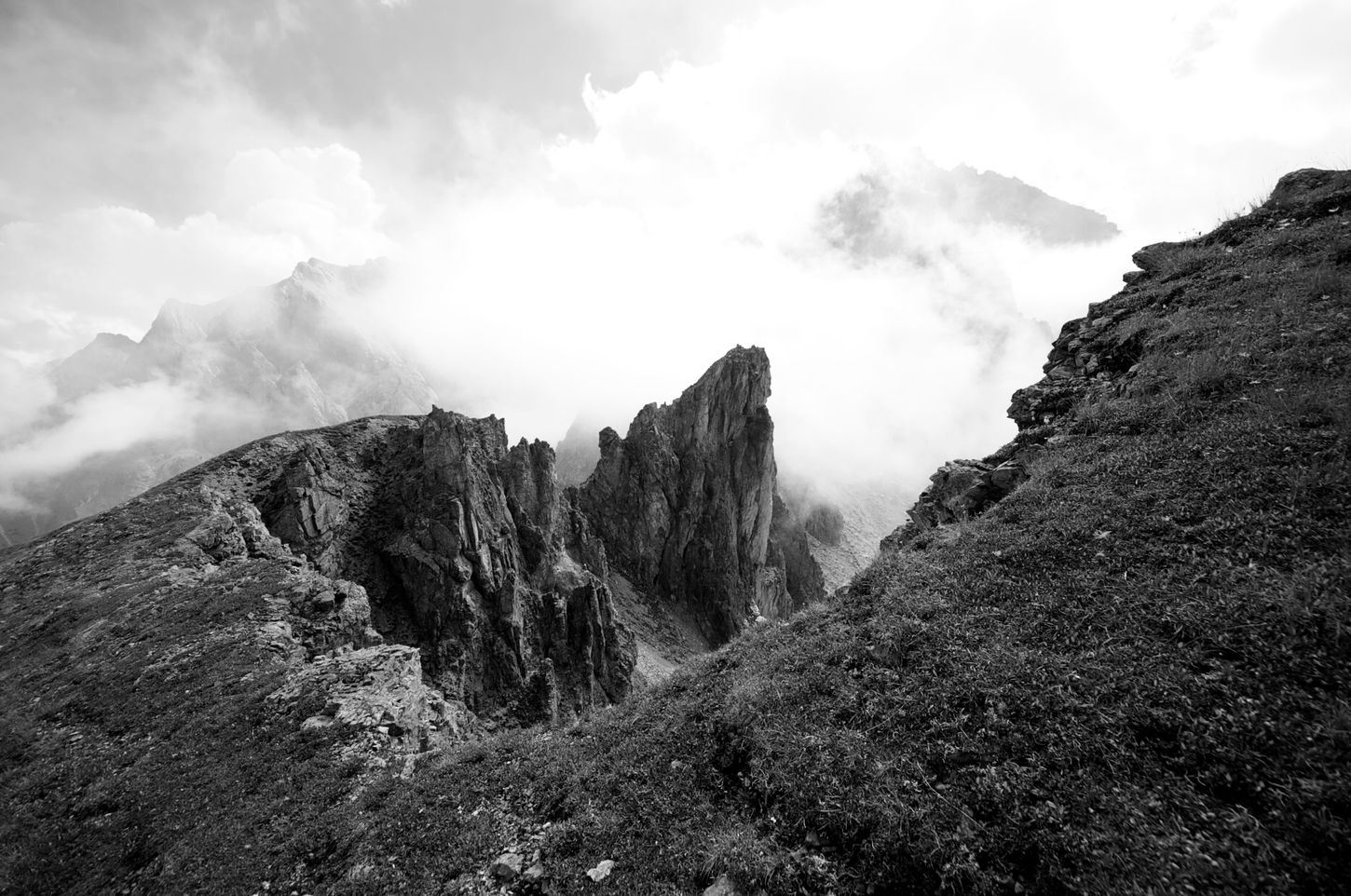 704B8E48-150D-4547-8679-7DA79CB8B646.jpeg