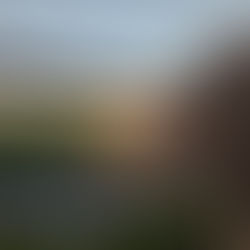 How Pups Bring Presence