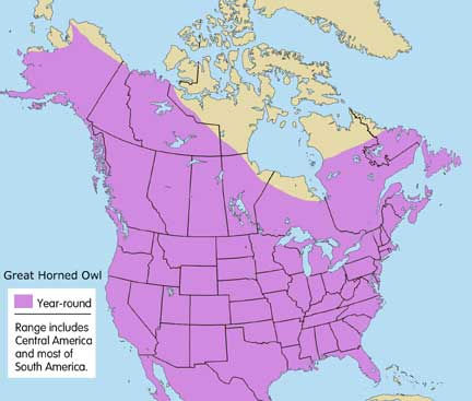 Great Horned Owl Location Sites (Google Image)