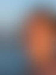 Content Over Comfort