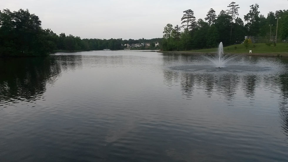 20150516_194544.jpg