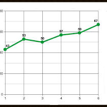 iViews AI Foveal Charting Page