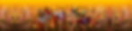 wild-web-back-3.jpg