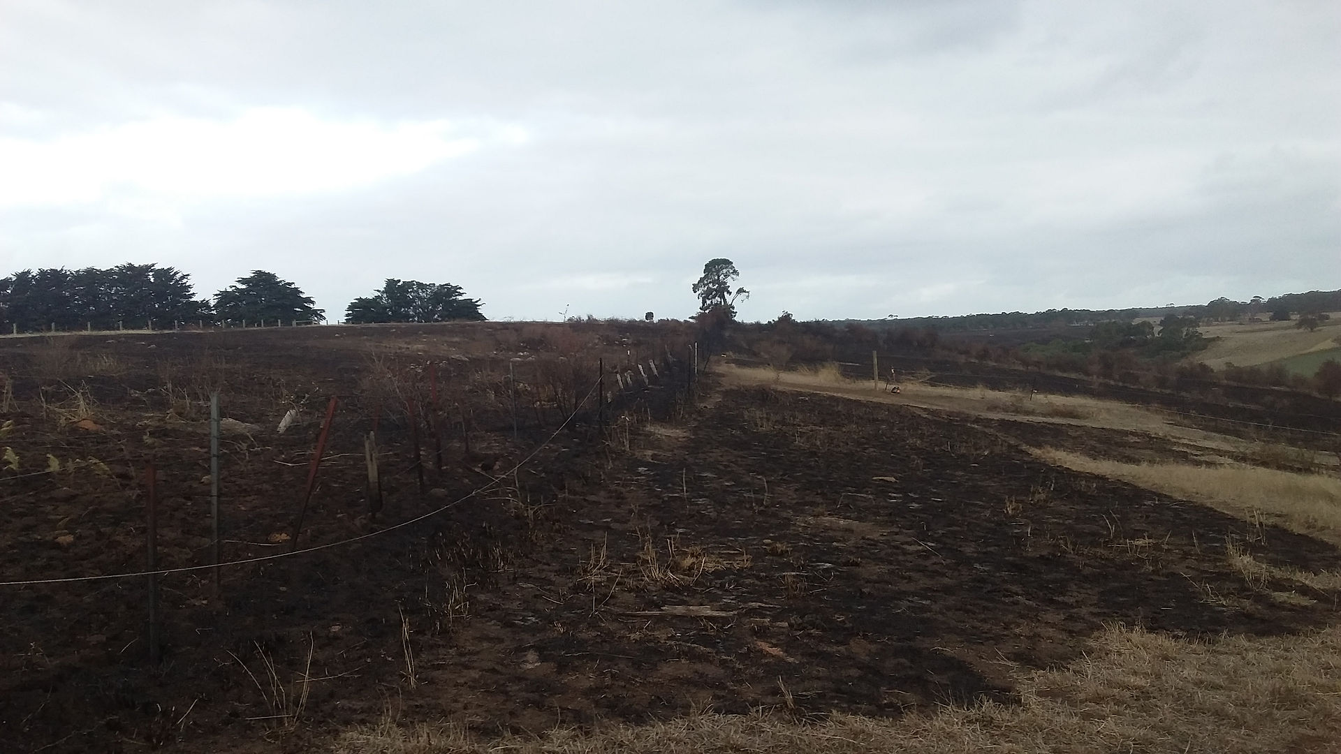 after the fires