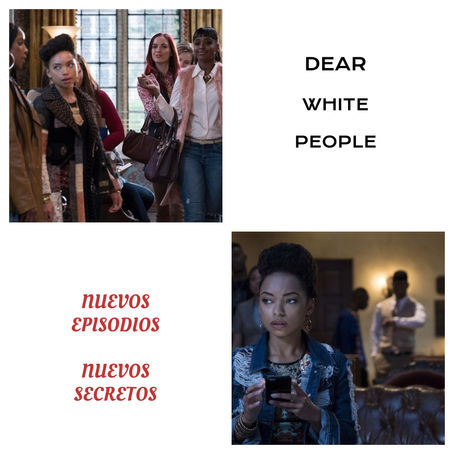 DEAR WHITE PEOPLE #Netflix