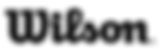 wilson-logo-login.png