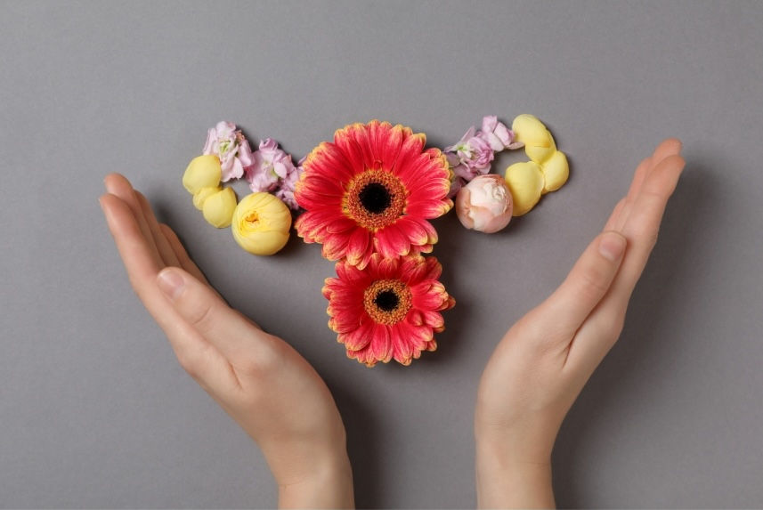 שימור פוריות אלקטיבי הקפאת ביציות - המחשה עדינה של רחם עם פרחים בידיים מגינות מאת ד"ר גיא רופא