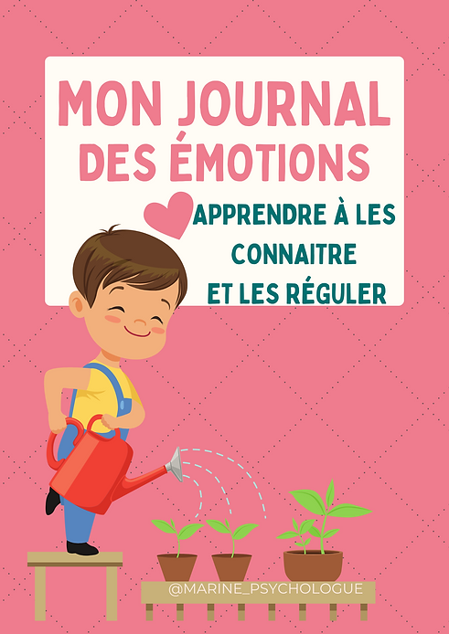 Copie de Mon Journal des Emotions.png