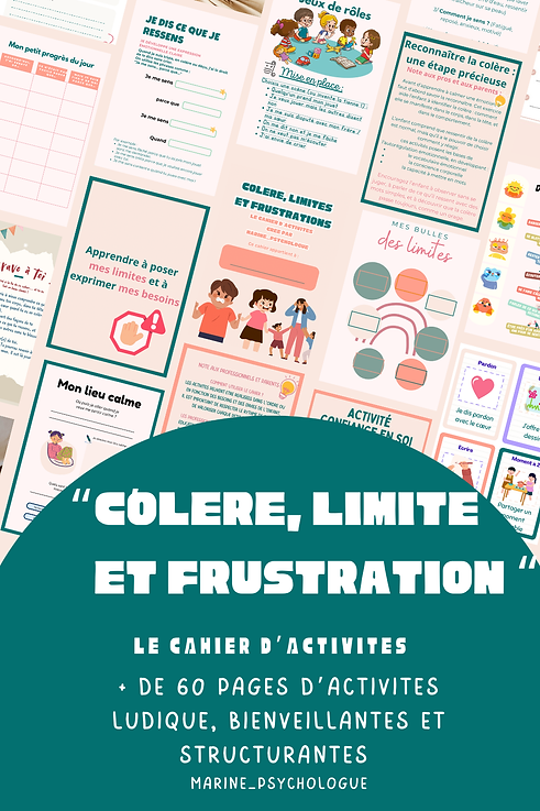 présentation cahier d'activitéscolèrepng.png