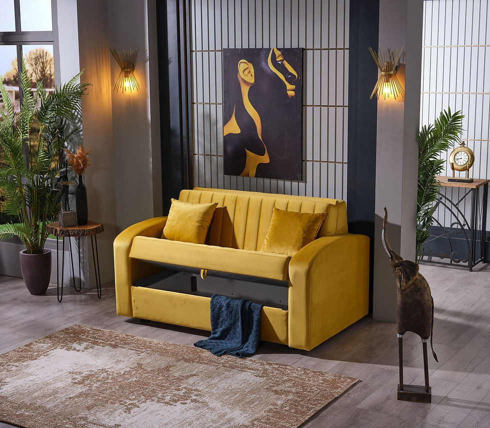 Thumbnail: Malta sofa bed with storage 