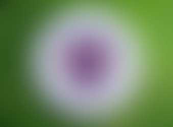 Saint Roustan frisbee club