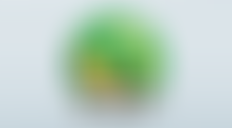 Les bleues en finale !