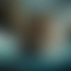 Zenão de Cítio: Empreendedor e Filósofo