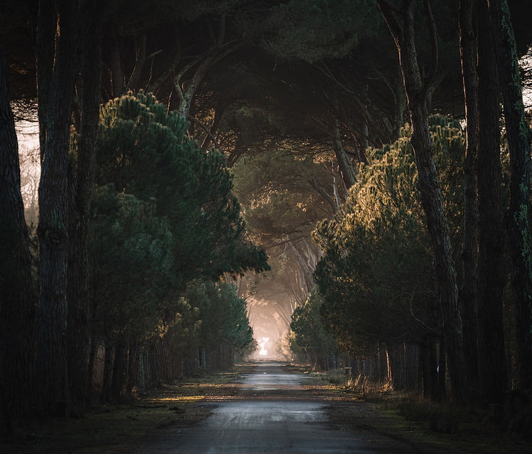federico-di-dio-photography-XVOBr3F95RY-unsplash.jpg
