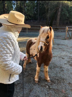 grandmacowgirl_edited