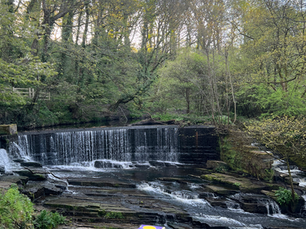 Bank Holiday Sunday: An Egg-Citing Adventure!