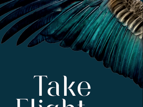 Generation Icarus book 2 cover & title announcement