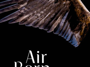 NZ Booklovers Review 'Air Born'