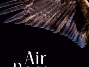 Review of Air Born from award winning author, W J Scott