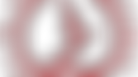 Årsmöte 2024