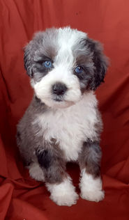 20220913_101149 (1).jpg