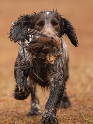 Screenshot 2024-08-17 at 1.24.20 AM.png