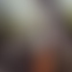 The Quiet Alchemy of a Daily Tea Ritual