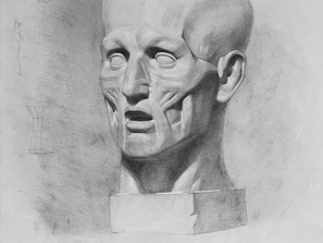 Sketched anatomical study of a Houdon head by Yana Evans with visible muscles, set against a shaded background. Additional sketches and text annotations visible.