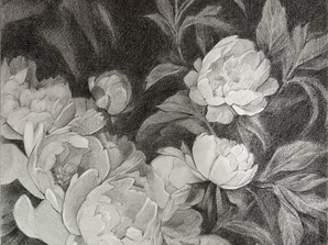 Pencil drawing by Yana Evans of blooming peonies with intricate leaves, set against a dark background. Text in corner: "EVANS INK". Mood is serene.