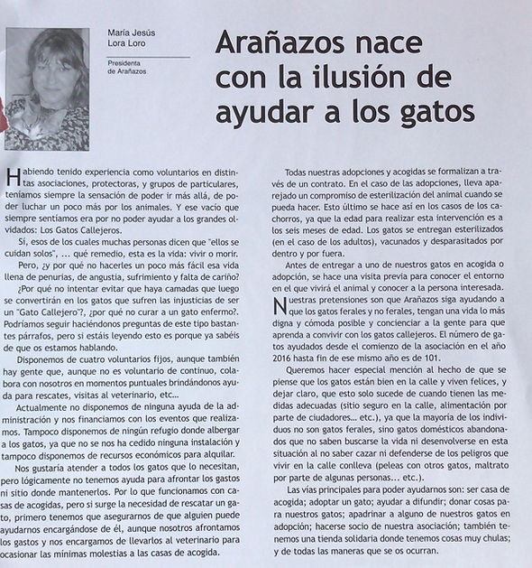 entrevista.jpg