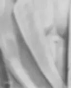 Thumbnail: Graphite pencil portrait of a Duc Phuc in an open white blazer with roses behind his head drawn by Yana Evans