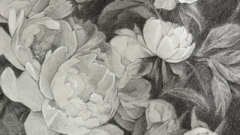 The Timeless Elegance: Exploring the History of White Peonies in Asia
